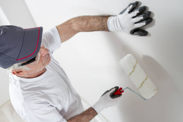 Best Residential Mold Inspection & Testing  in Linden, MI