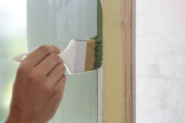 Mold Documentation for Insurance Claims in Linden, MI