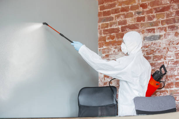 Best Attic Mold Removal  in Linden, MI