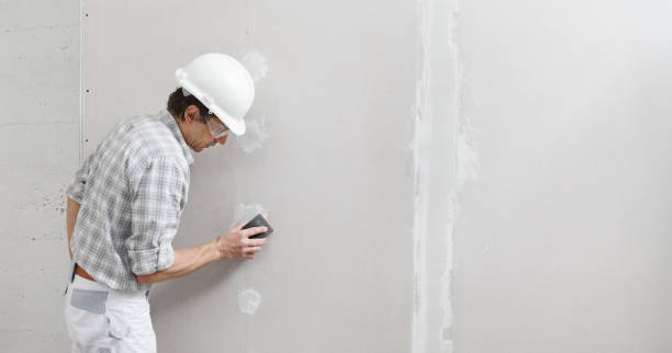 Best Commercial Mold Inspection  in Linden, MI