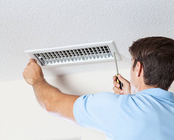 Best Asbestos and Lead Testing During Mold Inspection  in Linden, MI