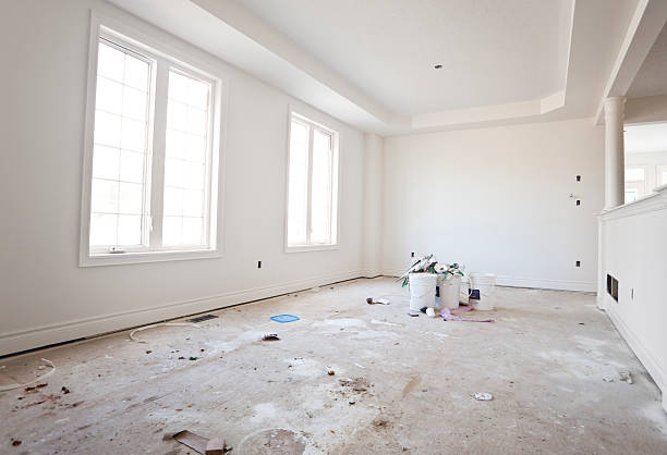 Linden, MI Mold Removal Company