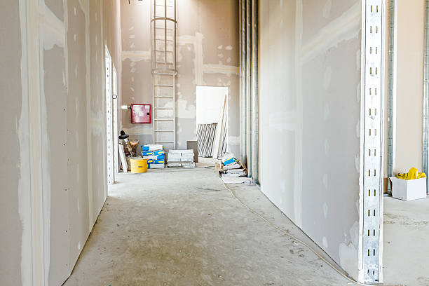 Best Dehumidification Services  in Linden, MI