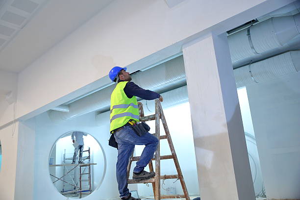 Best HVAC Mold Inspection and Cleaning  in Linden, MI