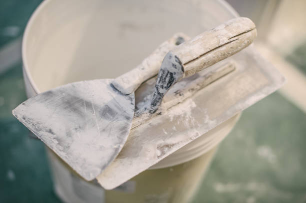 Best Biohazard Mold Removal  in Linden, MI