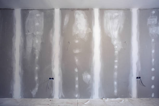 Best Black Mold Removal  in Linden, MI